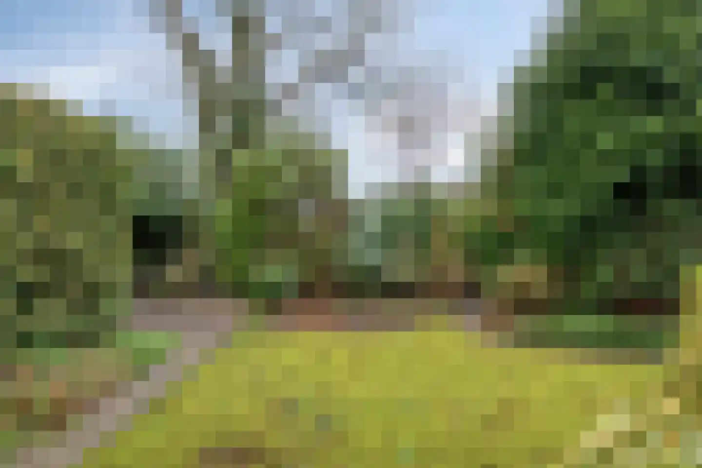 Debussylaan 58 Assen thumbnail 37