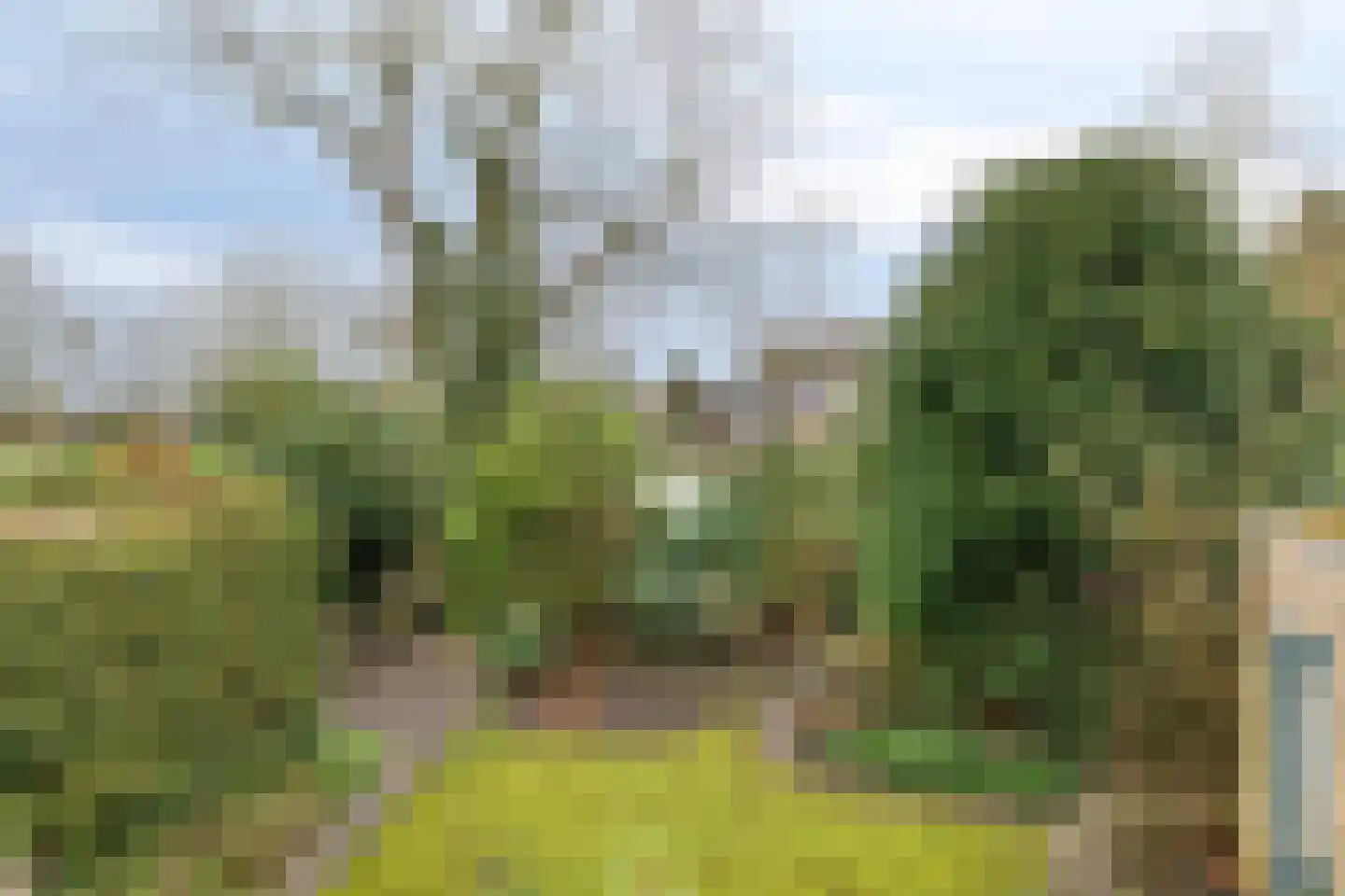 Debussylaan 58 Assen thumbnail 38