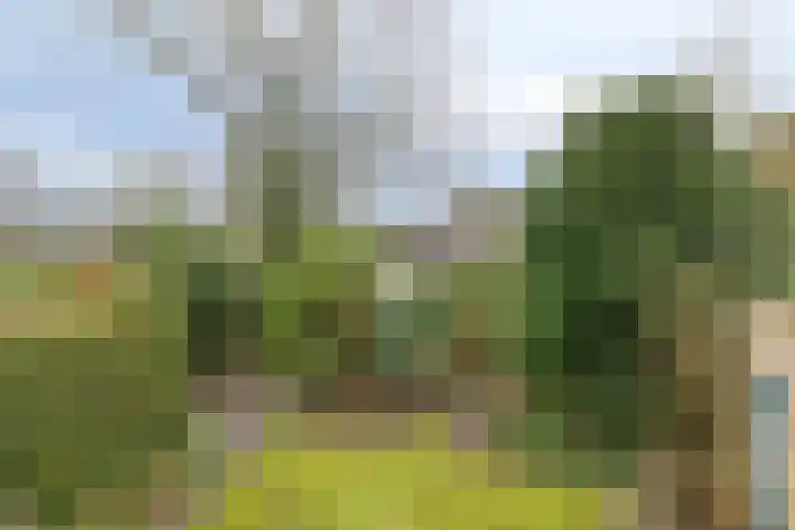 Debussylaan 58 Assen thumbnail 38