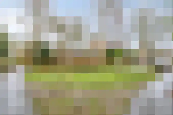 Debussylaan 58 Assen thumbnail 40