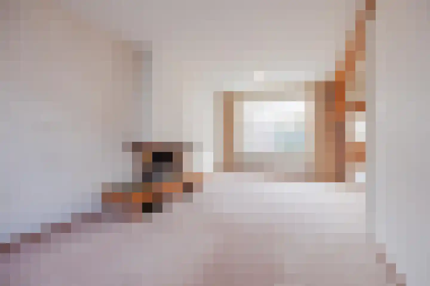 Debussylaan 8 Raamsdonksveer thumbnail 18