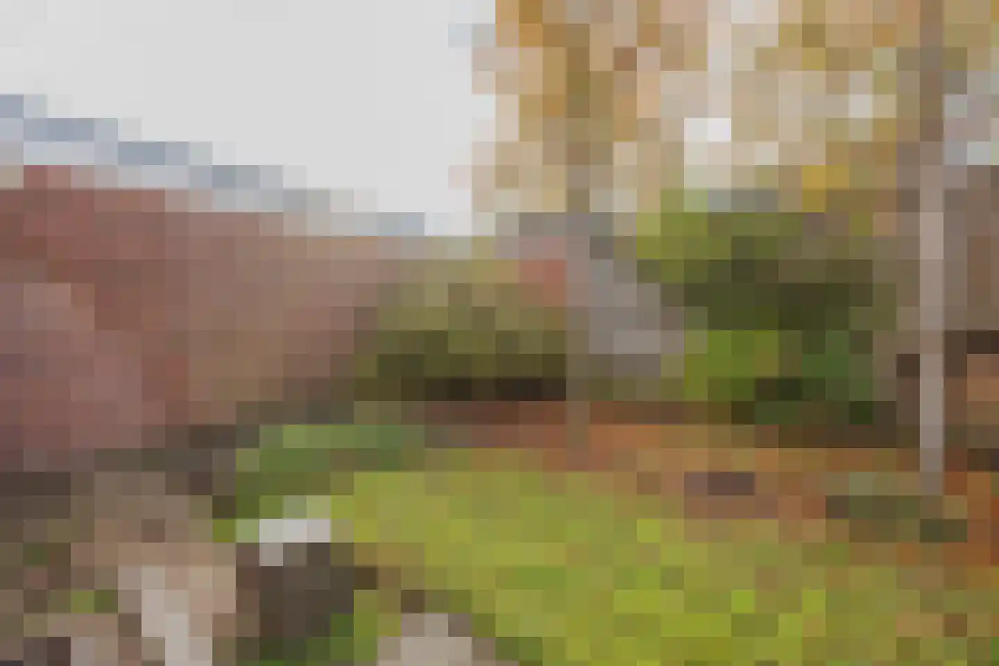 Debussylaan 8 Raamsdonksveer thumbnail 43