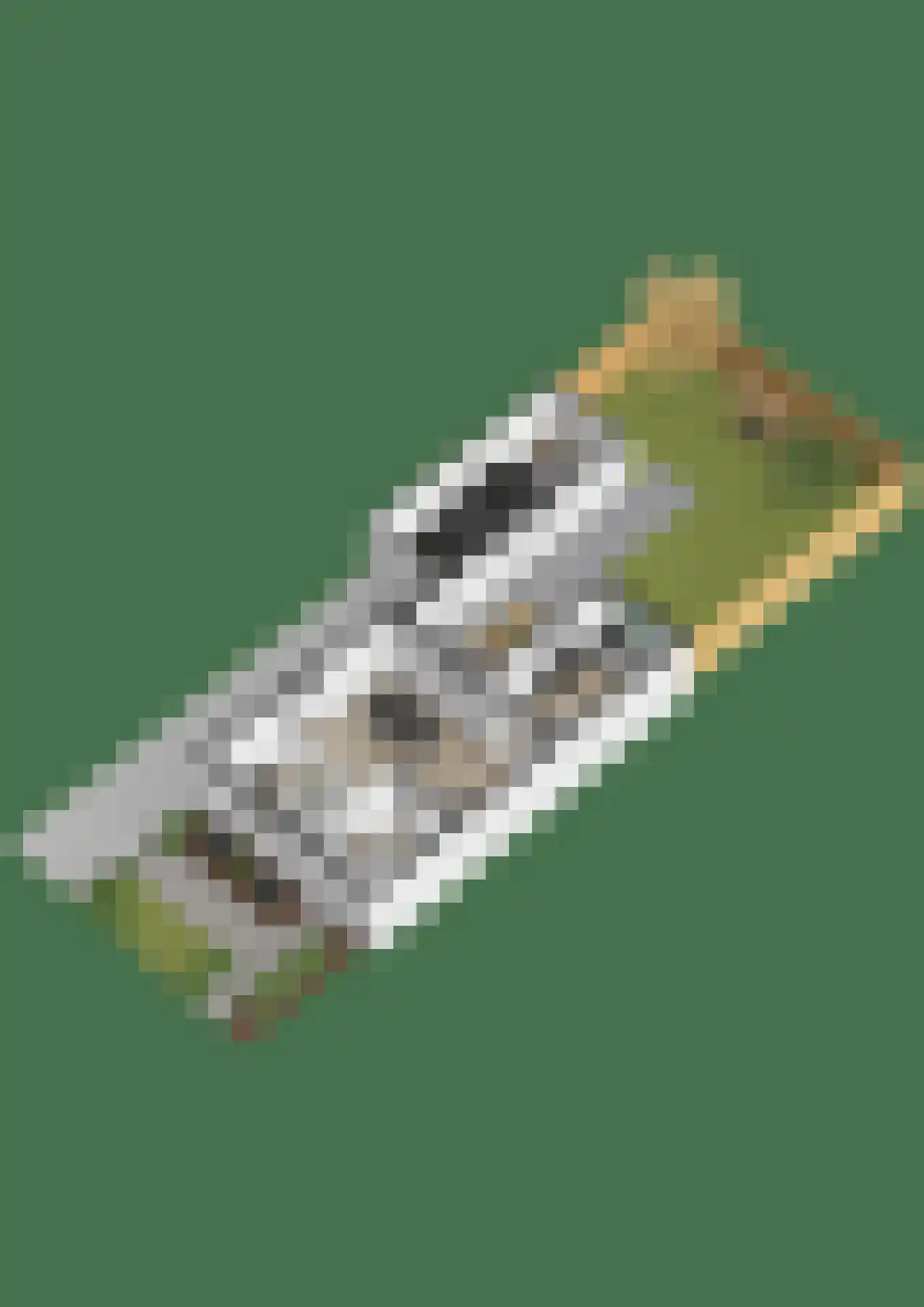 Debussylaan 8 Raamsdonksveer thumbnail 50