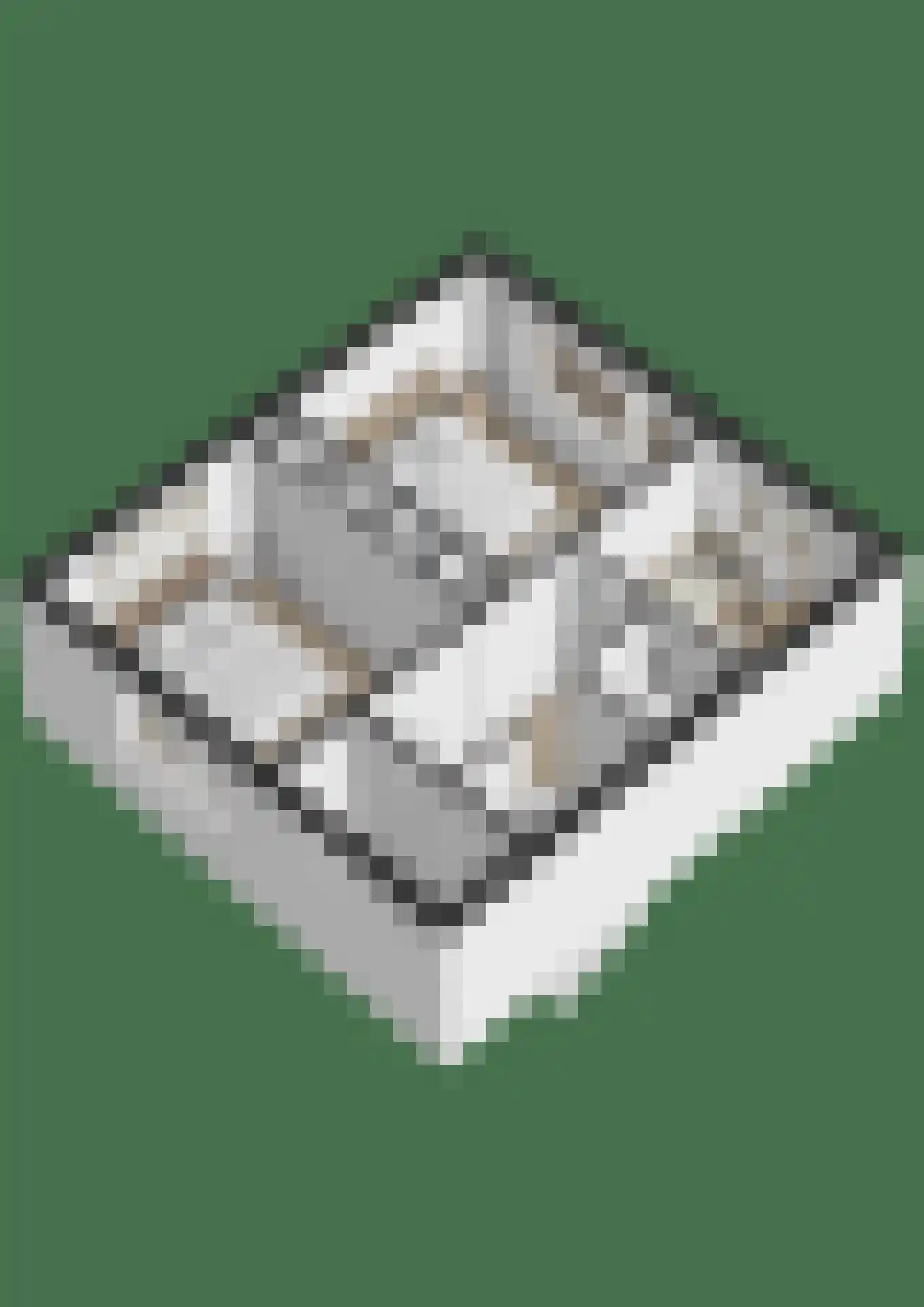 Debussylaan 8 Raamsdonksveer thumbnail 52