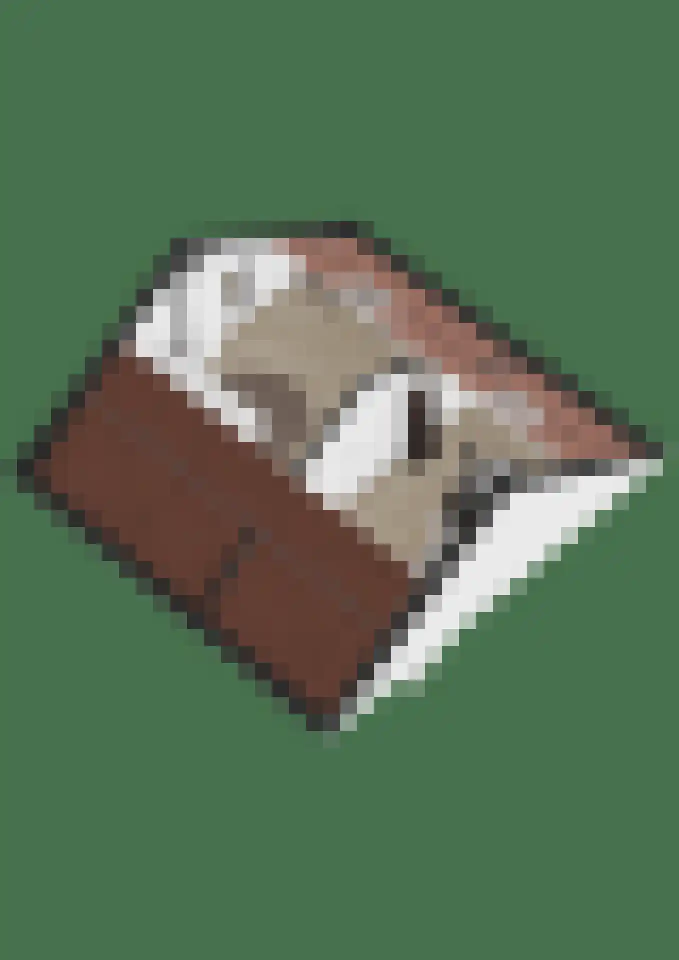 Debussylaan 8 Raamsdonksveer thumbnail 53