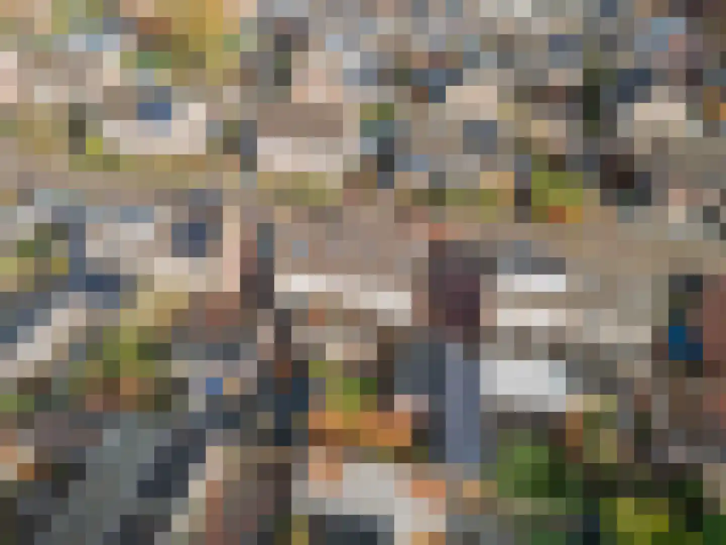 Debussylaan 8 Raamsdonksveer thumbnail 7