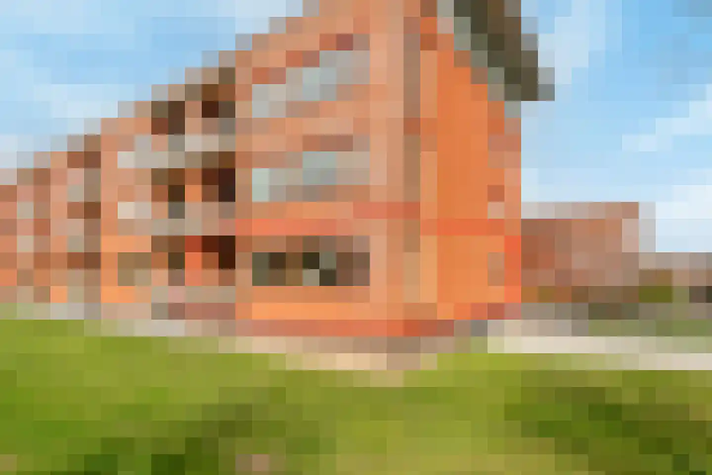 Debussyring 1 Oud-Beijerland thumbnail 45