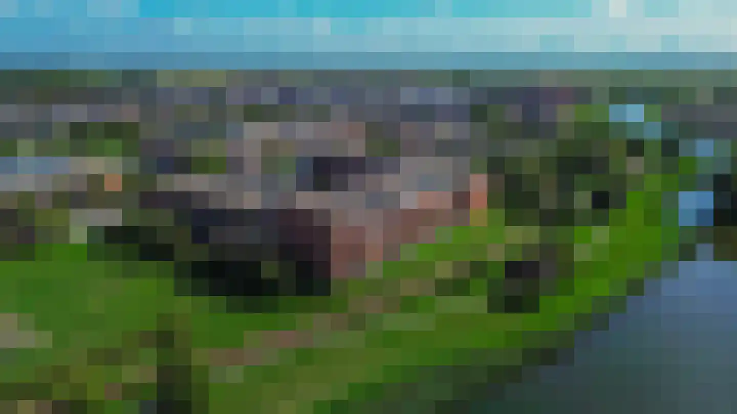 Debussyring 15 Oud-Beijerland thumbnail 34
