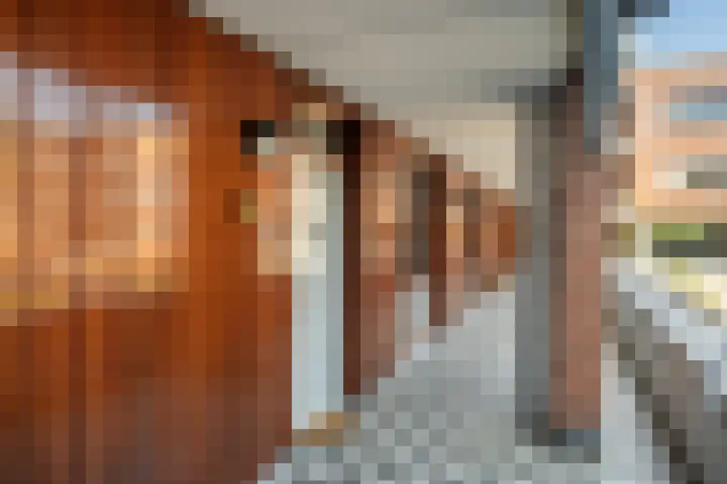 Debussyring 7 Oud-Beijerland thumbnail 23
