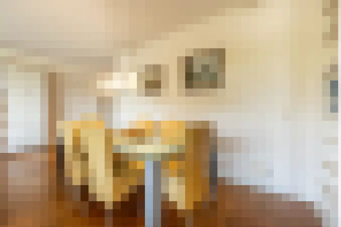 Debussyring 7 Oud-Beijerland thumbnail 9