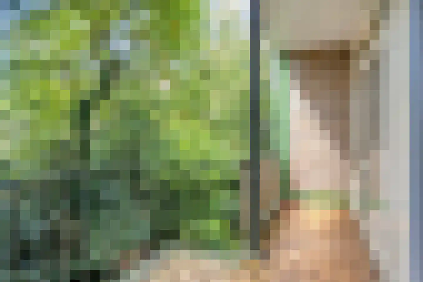 Debussystraat 1 2 Arnhem thumbnail 4