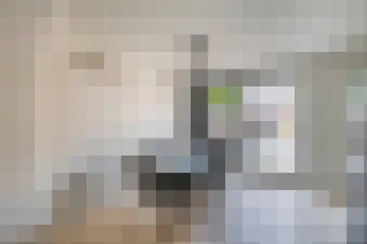 Debussystraat 10 Waalwijk thumbnail 11