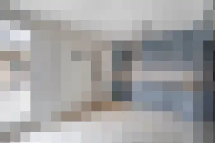 Debussystraat 10 Waalwijk thumbnail 15
