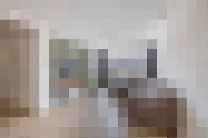Debussystraat 10 Waalwijk thumbnail 6