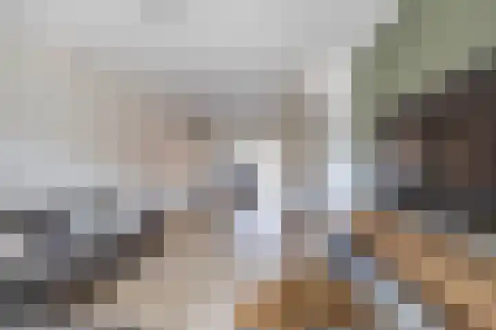 Debussystraat 10 Waalwijk thumbnail 7