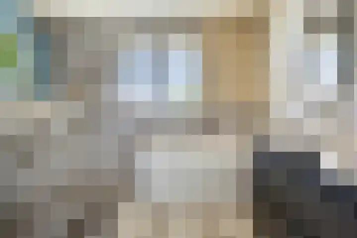 Debussystraat 16 Schijndel thumbnail 21