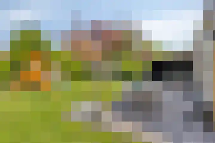 Debussystraat 16 Schijndel thumbnail 27
