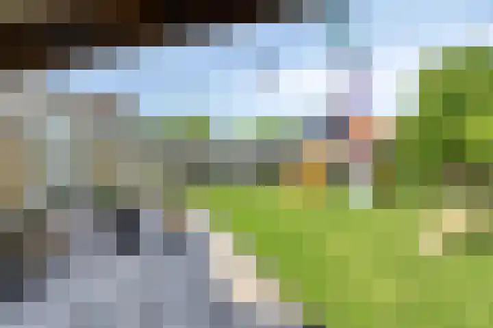 Debussystraat 16 Schijndel thumbnail 28