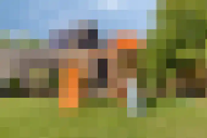 Debussystraat 16 Schijndel thumbnail 31