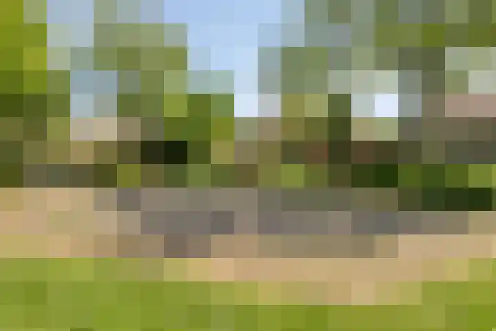 Debussystraat 16 Schijndel thumbnail 33
