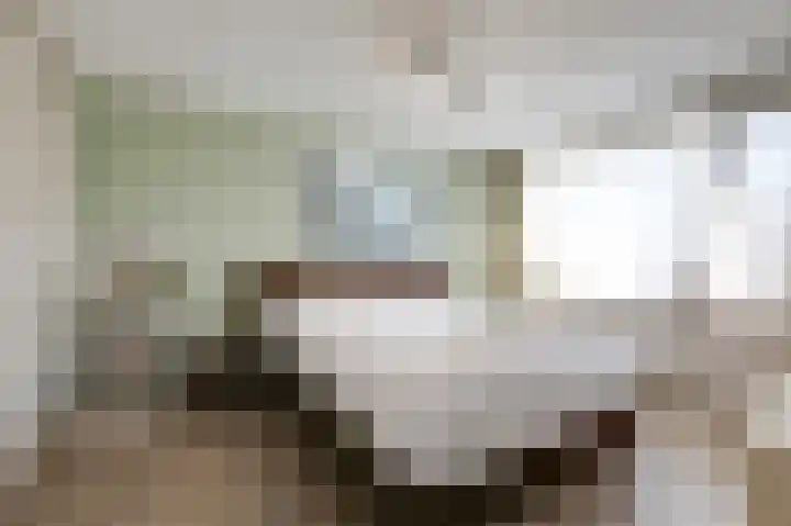Debussystraat 18 Zevenaar thumbnail 32