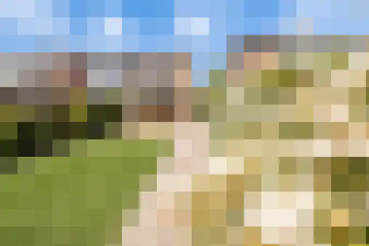 Debussystraat 19 Culemborg thumbnail 15