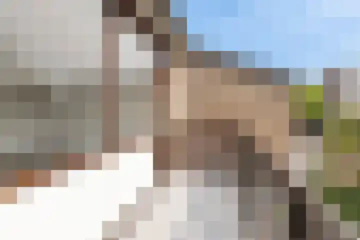 Debussystraat 19 Culemborg thumbnail 25