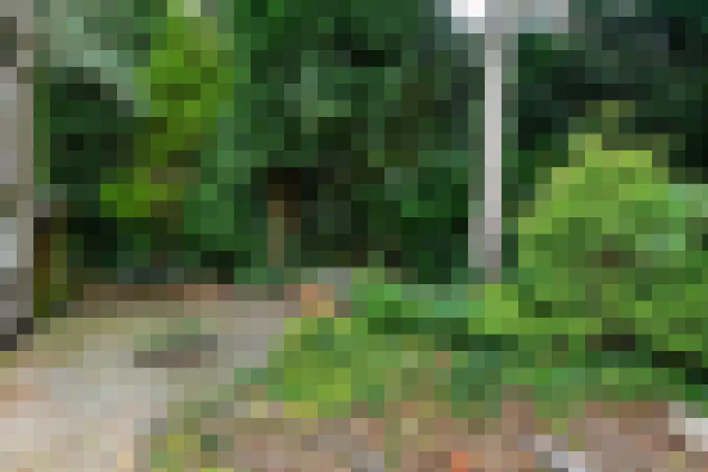 Debussystraat 20 Arnhem thumbnail 34