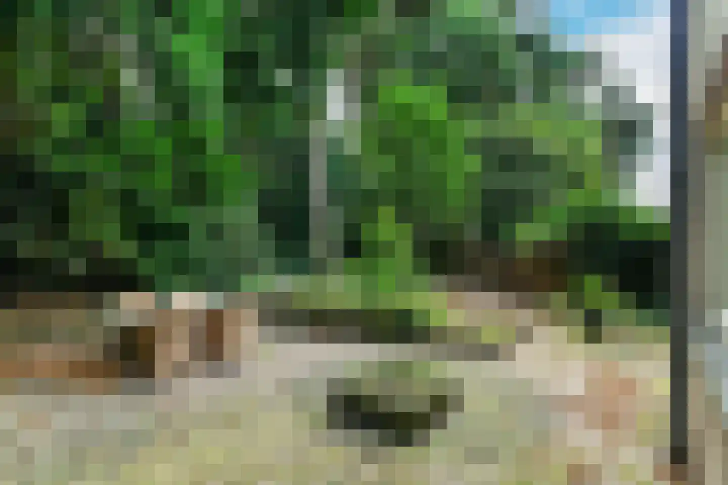 Debussystraat 20 Arnhem thumbnail 35