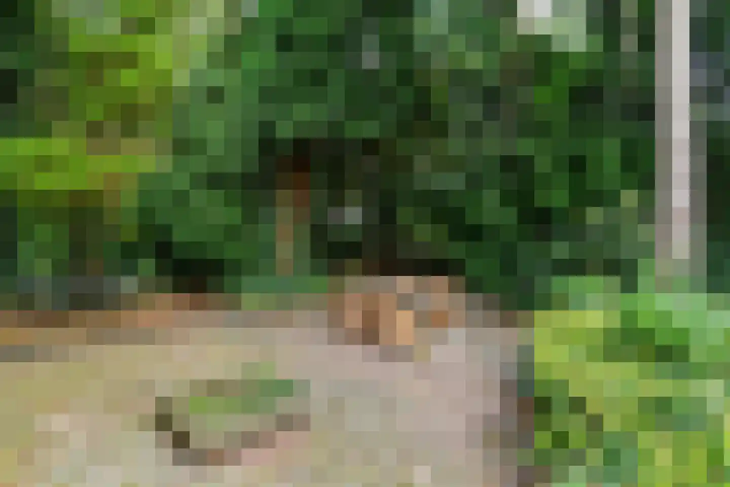 Debussystraat 20 Arnhem thumbnail 36