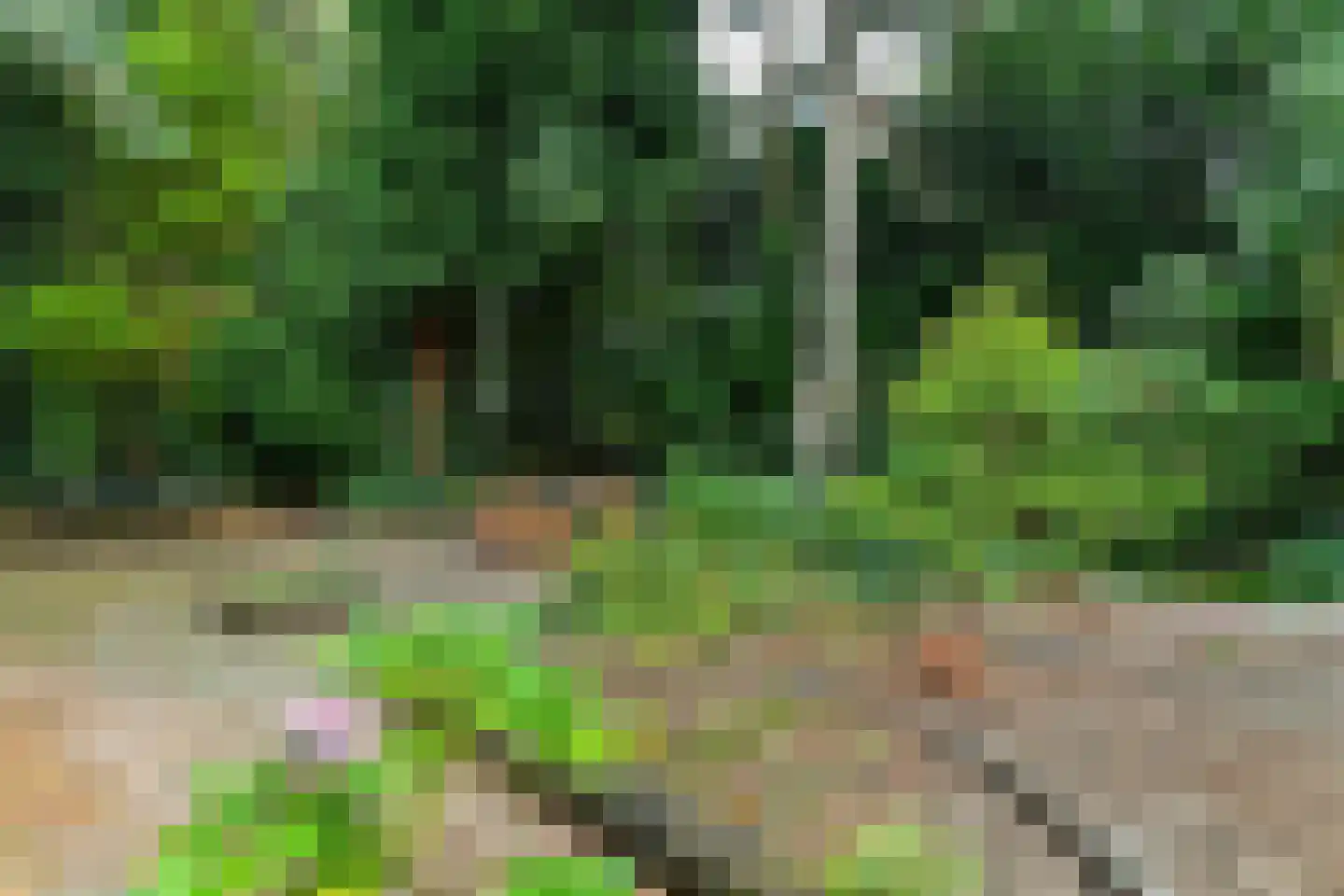 Debussystraat 20 Arnhem thumbnail 37