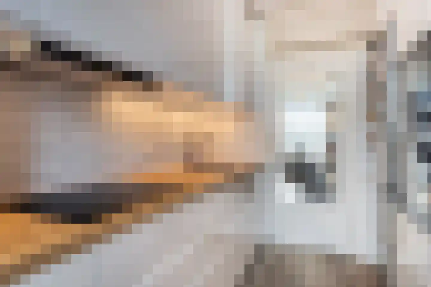 Debussystraat 21 Leiden thumbnail 8
