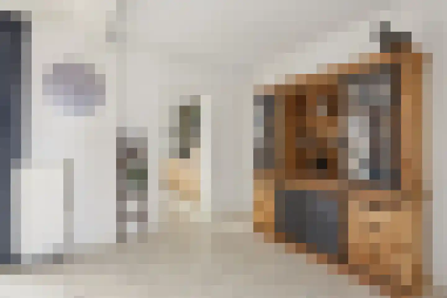 Debussystraat 22 Waalwijk thumbnail 13