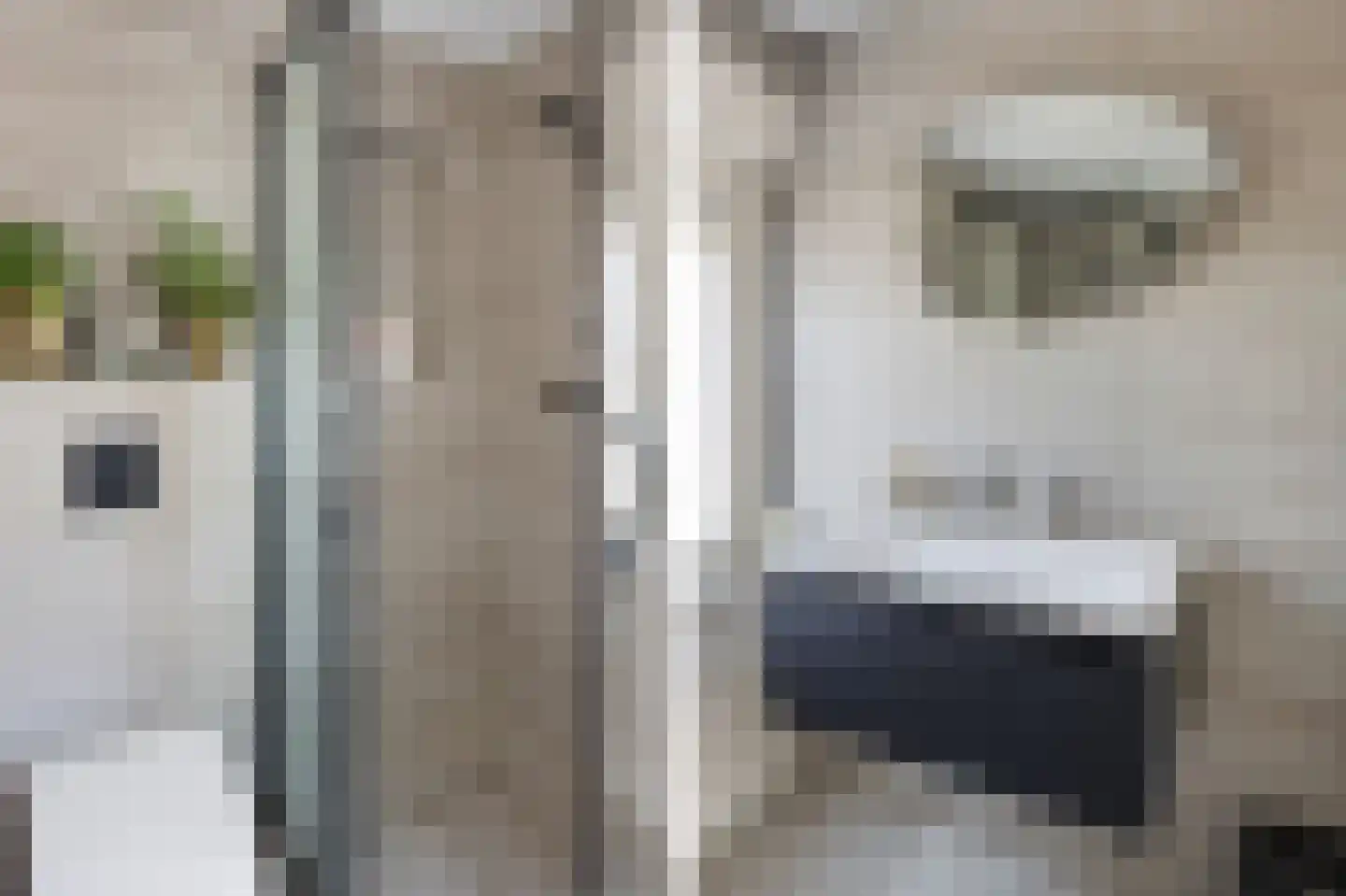 Debussystraat 22 Waalwijk thumbnail 22