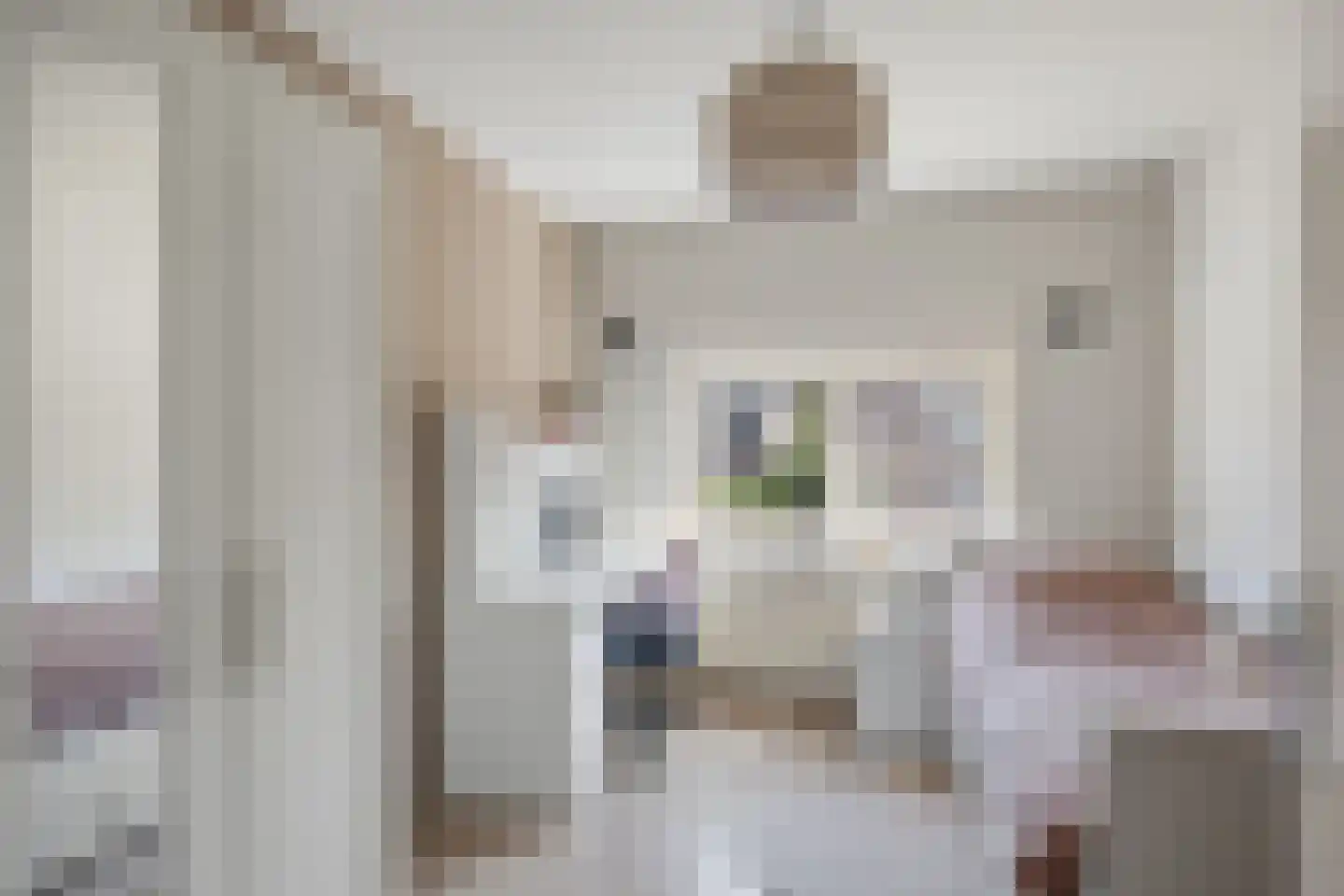 Debussystraat 22 Waalwijk thumbnail 23