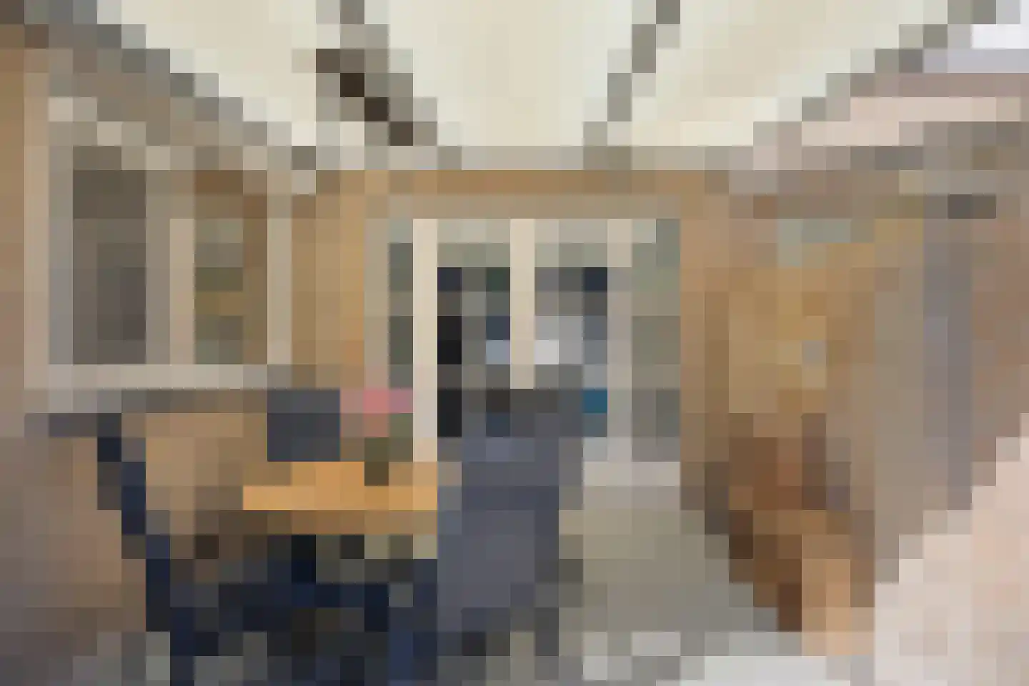 Debussystraat 22 Waalwijk thumbnail 36