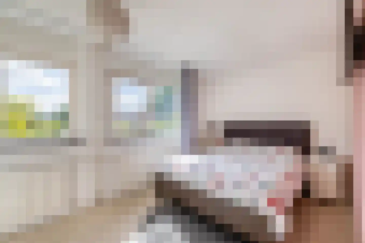 Debussystraat 26 Lisse thumbnail 22