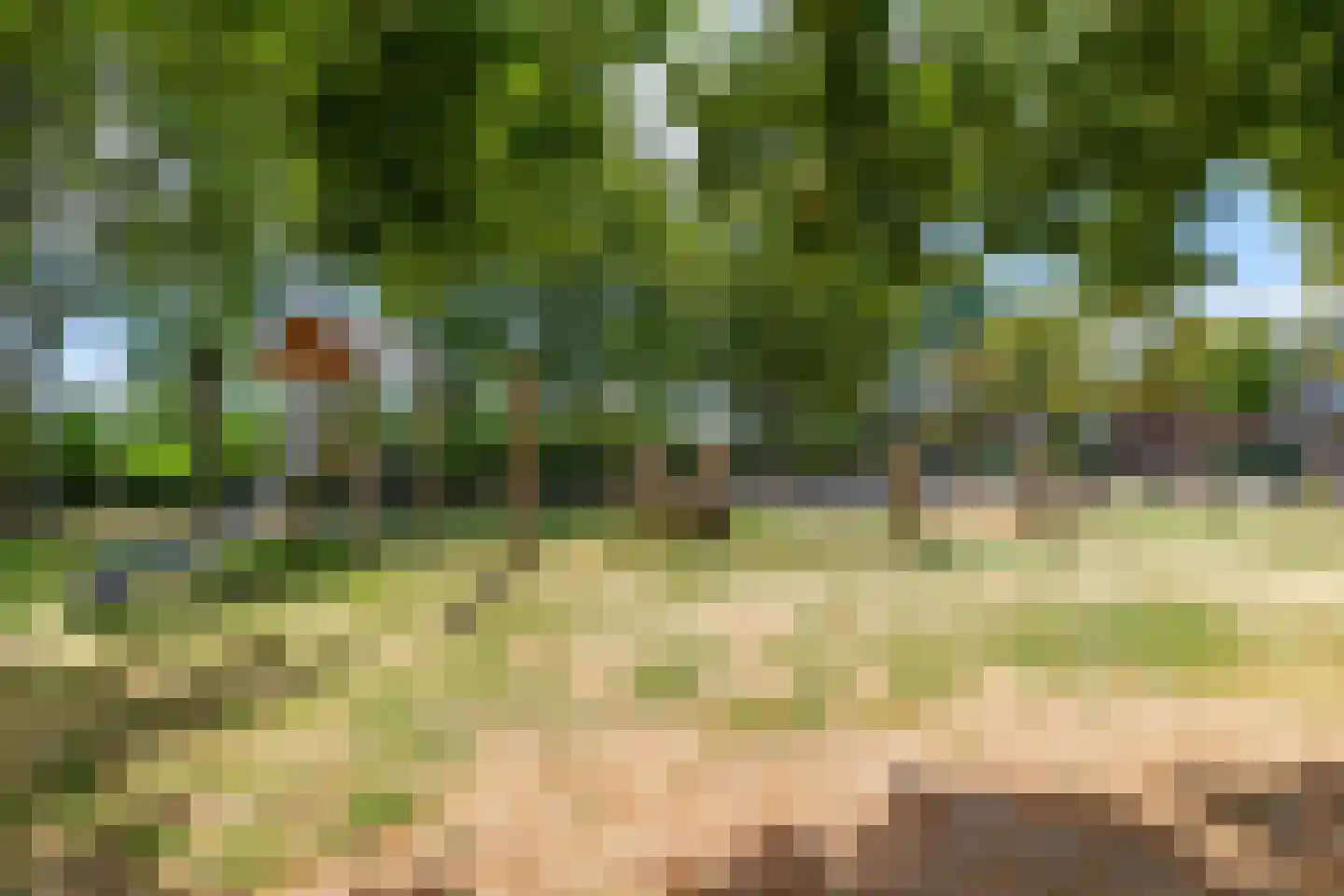 Debussystraat 26 Lisse thumbnail 37