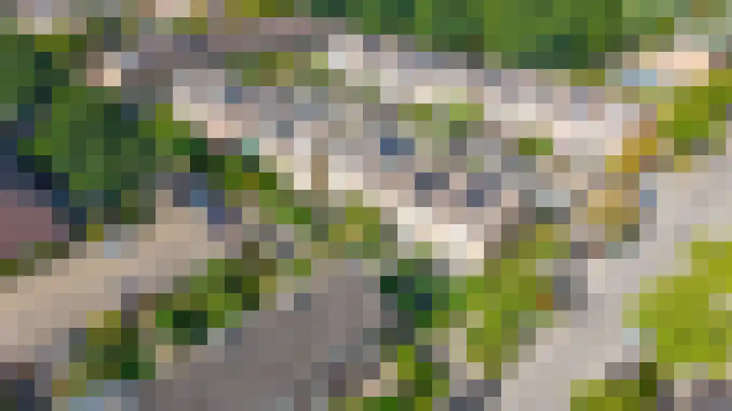 Debussystraat 26 Lisse thumbnail 43