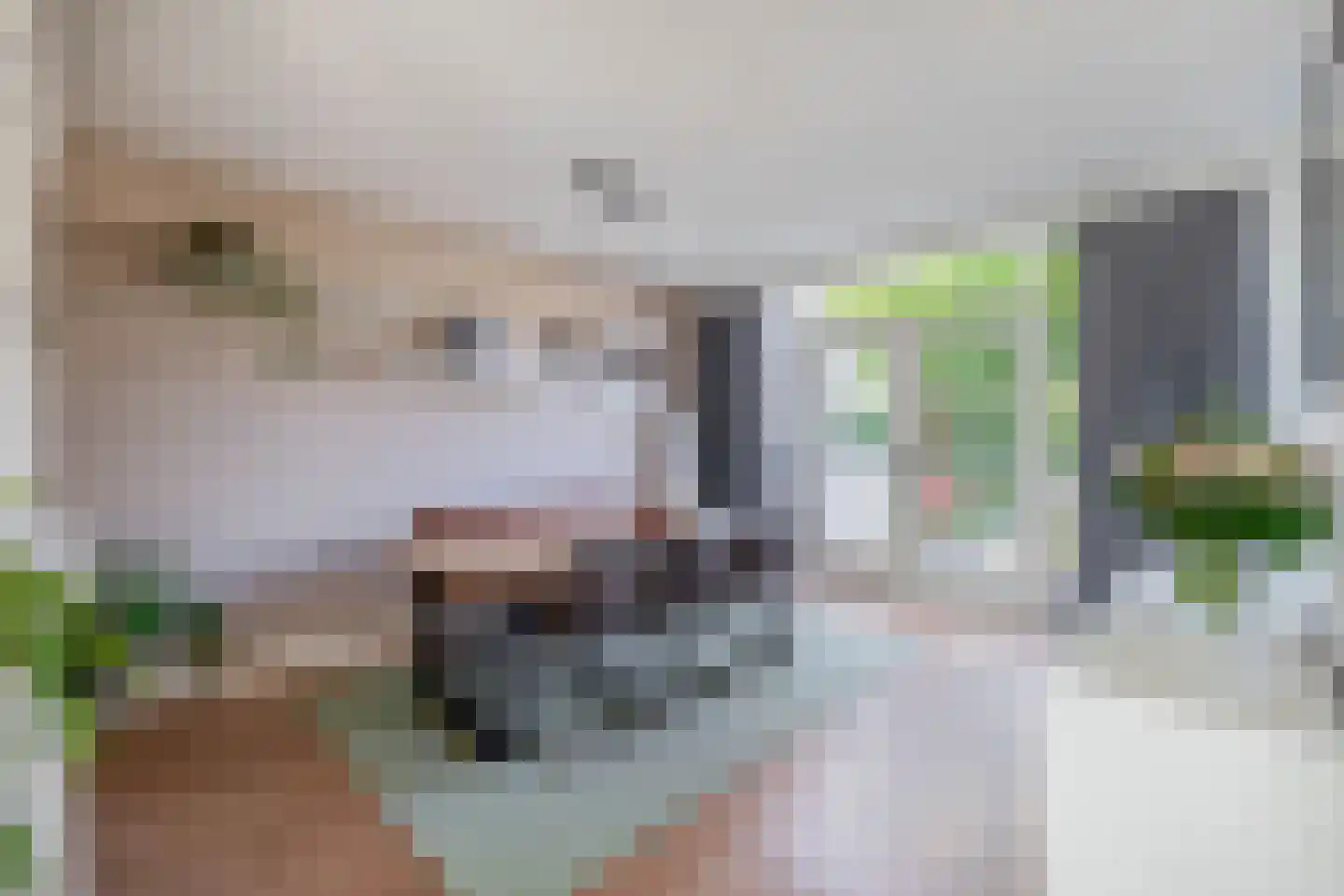 Debussystraat 26 Lisse thumbnail 9