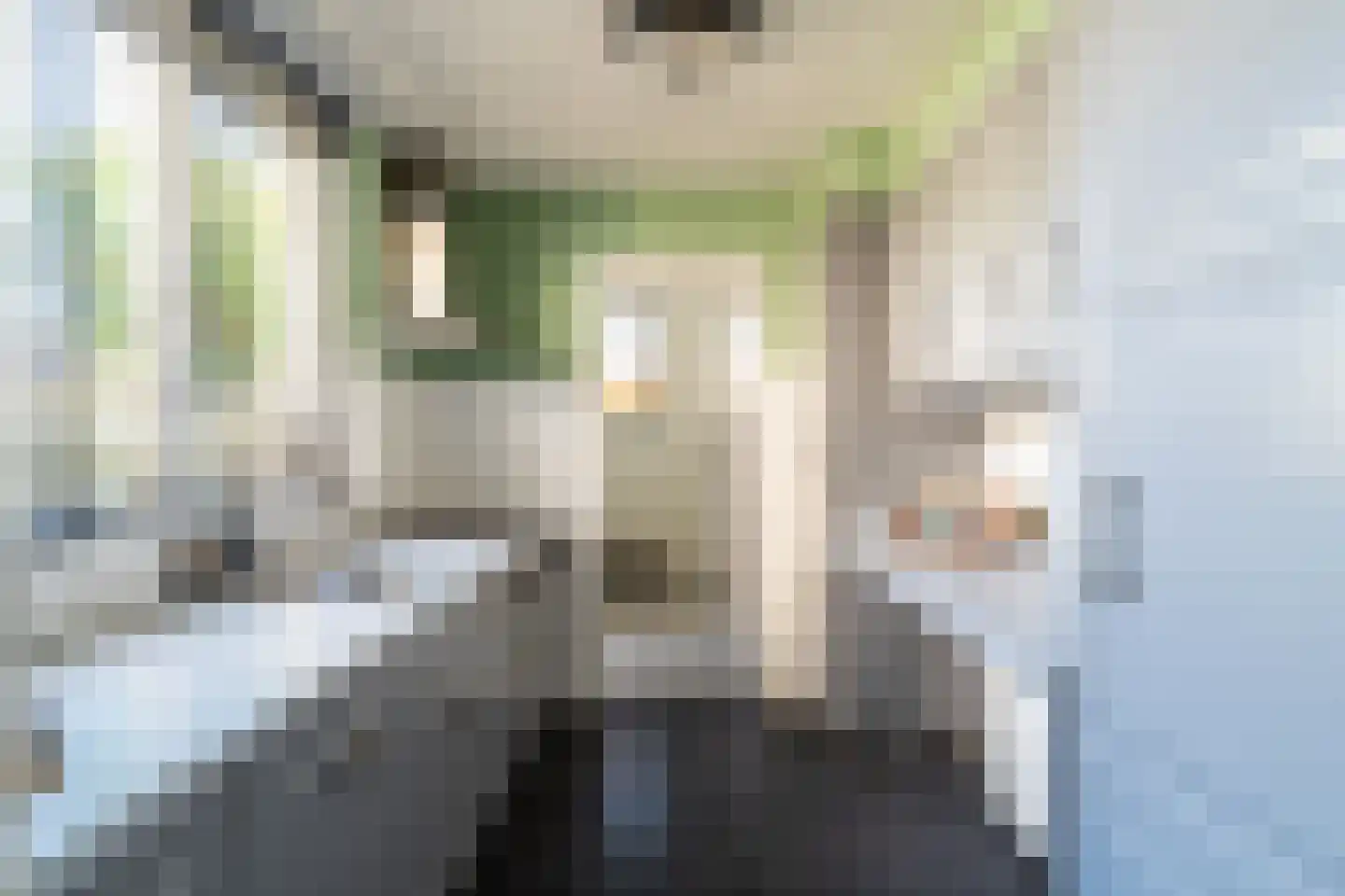 Debussystraat 26 Waalwijk thumbnail 10