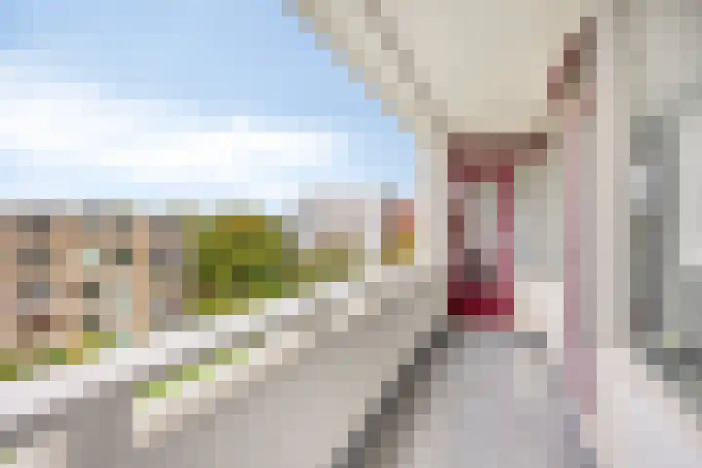 Debussystraat 35 Leiden thumbnail 32