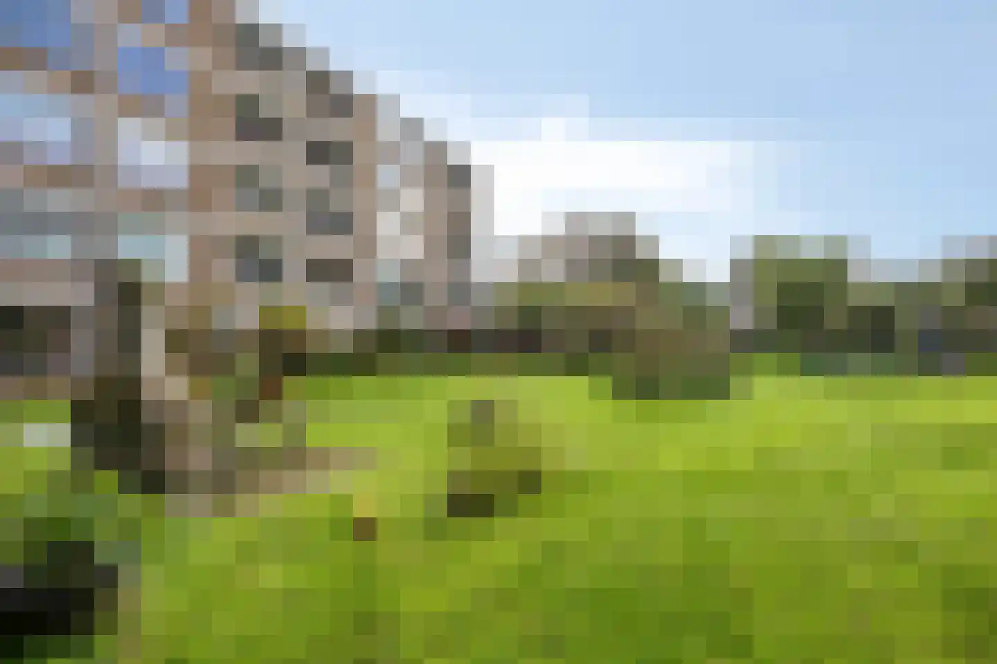 Debussystraat 35 Leiden thumbnail 34