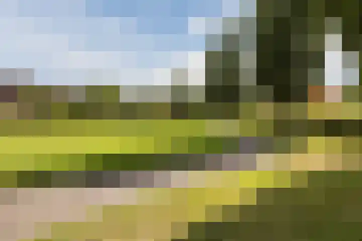 Debussystraat 39 Hellevoetsluis thumbnail 39