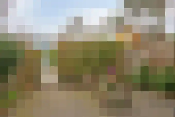 Debussystraat 39 Leiden thumbnail 11