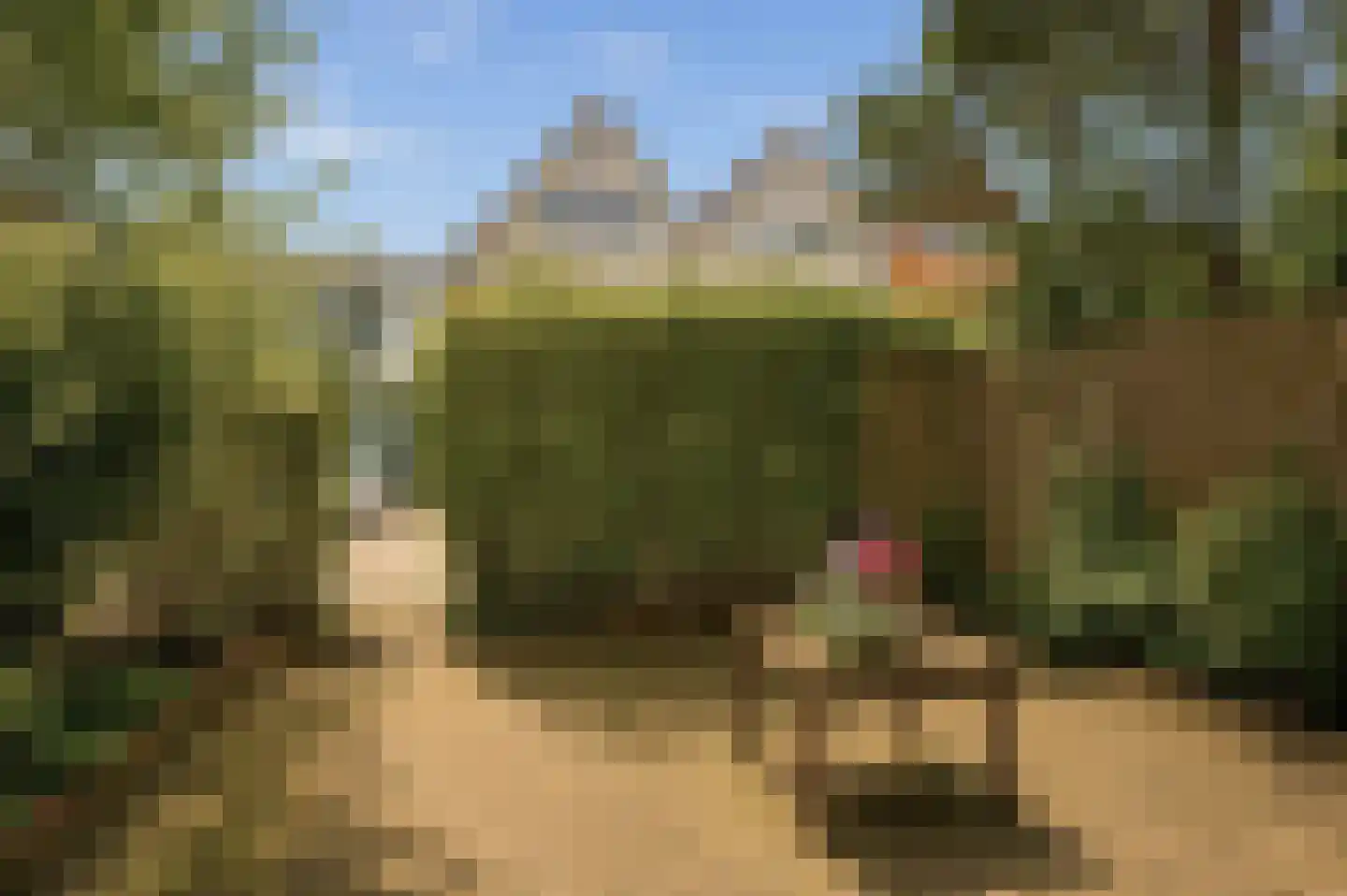 Debussystraat 39 Leiden thumbnail 11