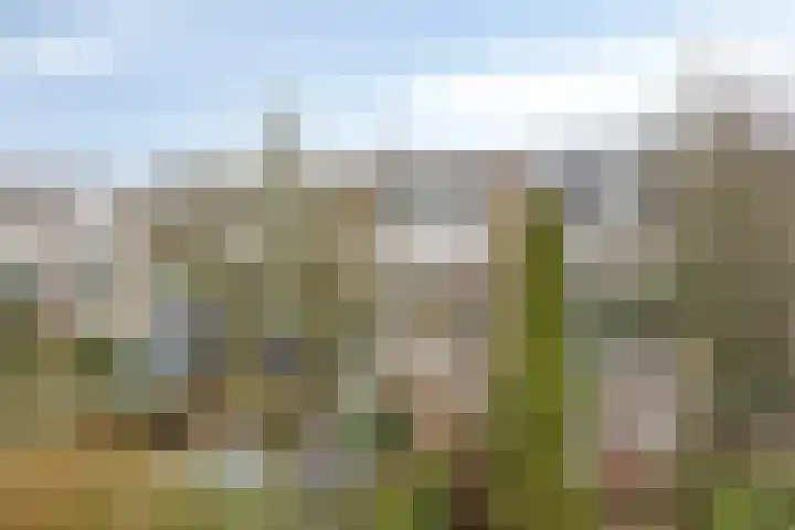 Debussystraat 39 Leiden thumbnail 40
