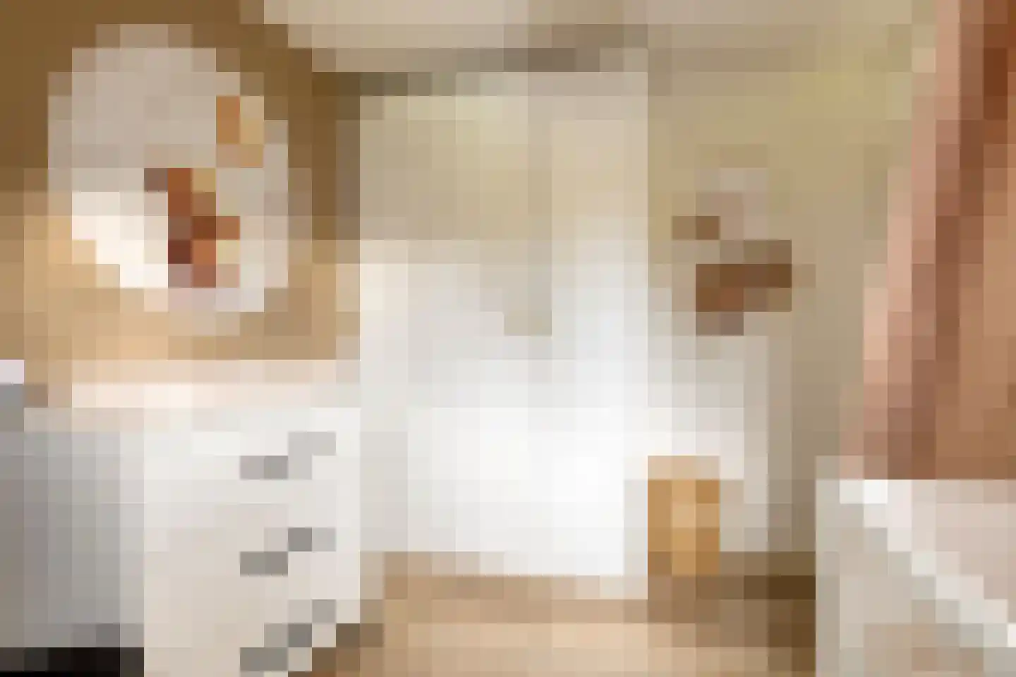 Debussystraat 4 Veenendaal thumbnail 31