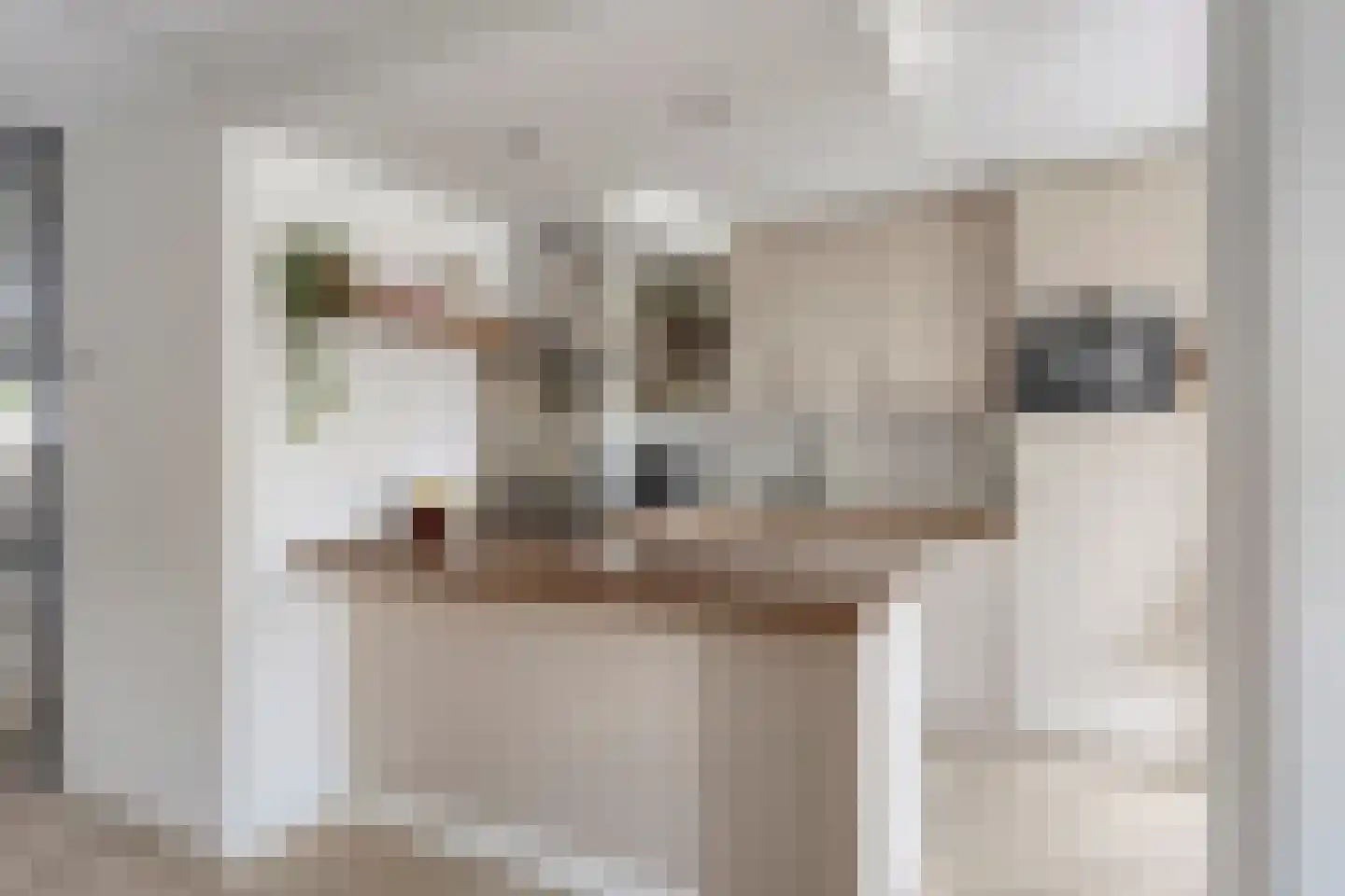 Debussystraat 4 Veenendaal thumbnail 4