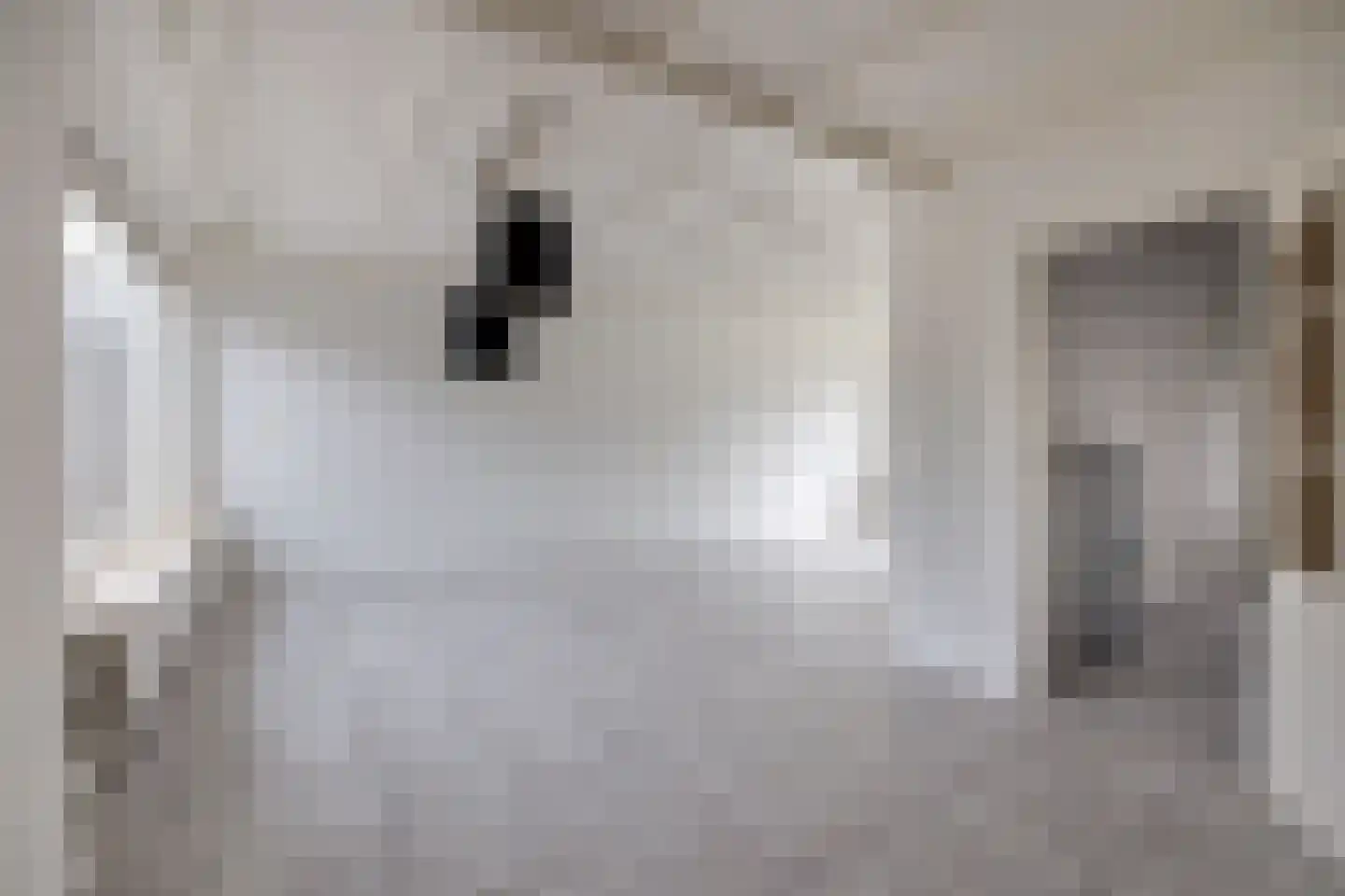 Debussystraat 4 Waalwijk thumbnail 11